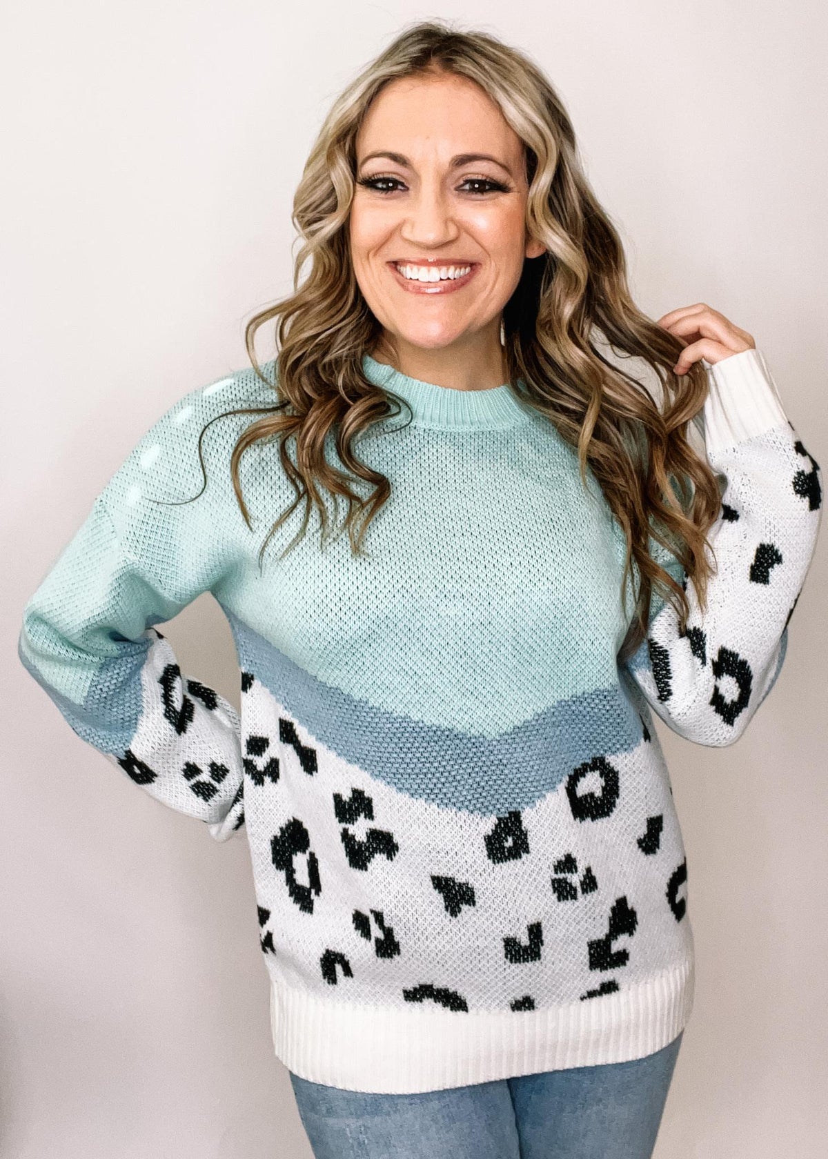 Chevron Mint and Leopard Colorblock Sweater