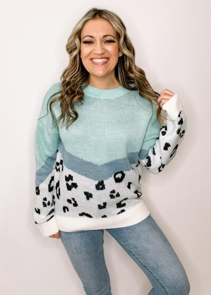 Chevron Mint and Leopard Colorblock Sweater
